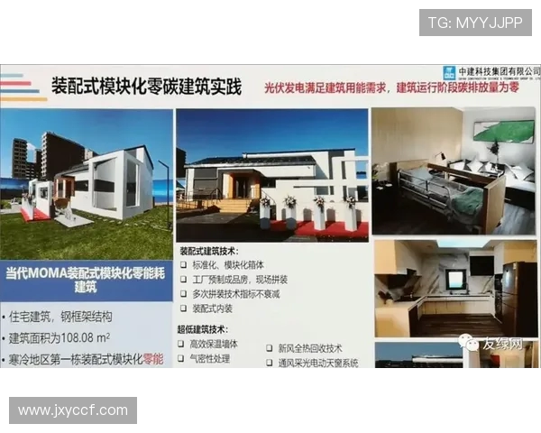 探索全球热门体育项目背后的文化影响与发展趋势