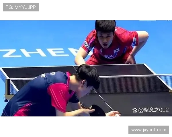 乒乓球的魅力与挑战：深圳乒乓球队反击之路的深度解析