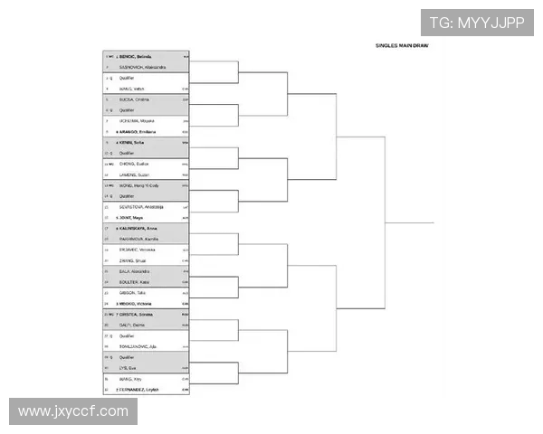 权威发布网球比赛经验与实力综合排名榜单解析与展望