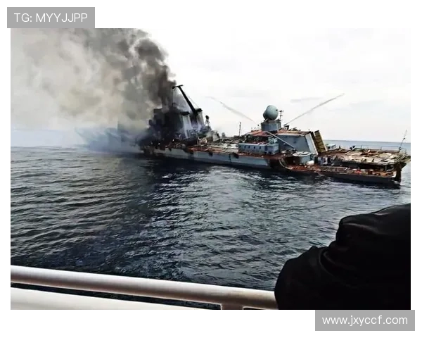 俄罗斯对韩国精彩直播视频全程回顾与分析