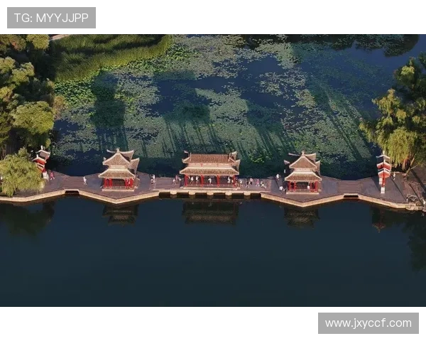 探索nvs趵圭的独特魅力与文化价值，揭开其背后的历史故事与现代意义